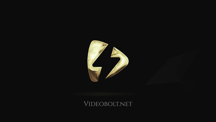 Gold & Silver Cinematic Logo - Original - Poster image