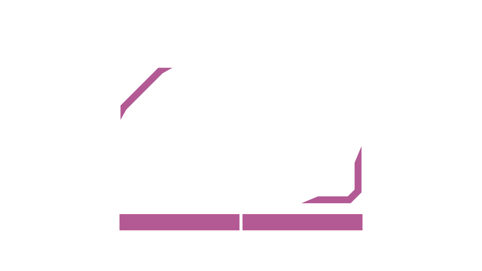 Apex Legends Webcam Overlay by Shoeeb