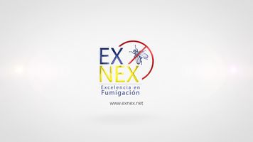 ex nex
