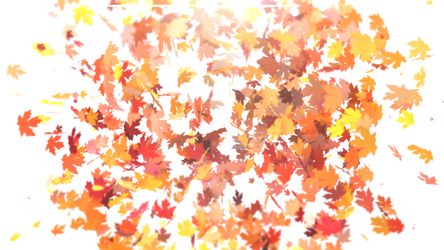 Maple Leaves Logo Reveal Original theme video