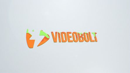 Liquid Logo Default theme video