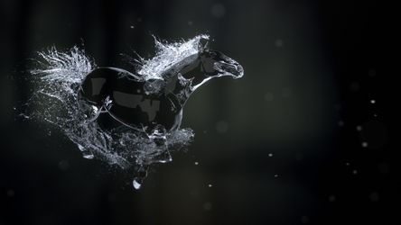 Splashing Horse Logo Reveal Original theme video