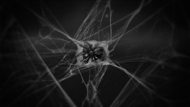 Cobwebs - Original - Poster image