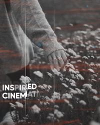 Slideshow - Cinematic Inspired - Post Video Theme theme video