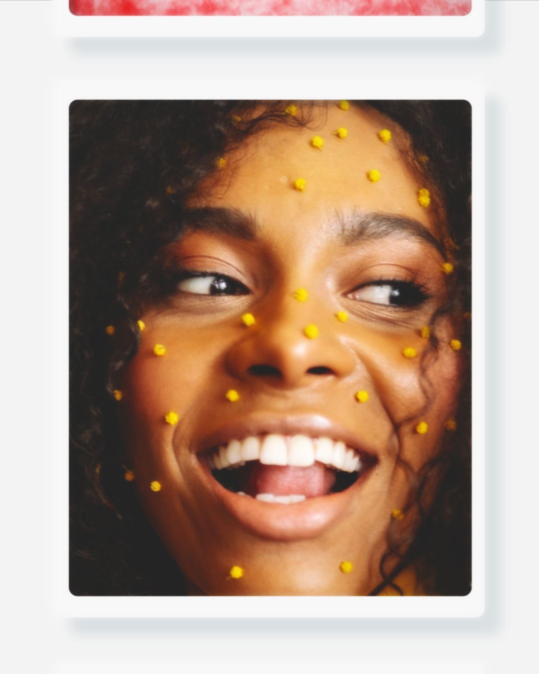 Web search photo roll post by vivace studio videobolt