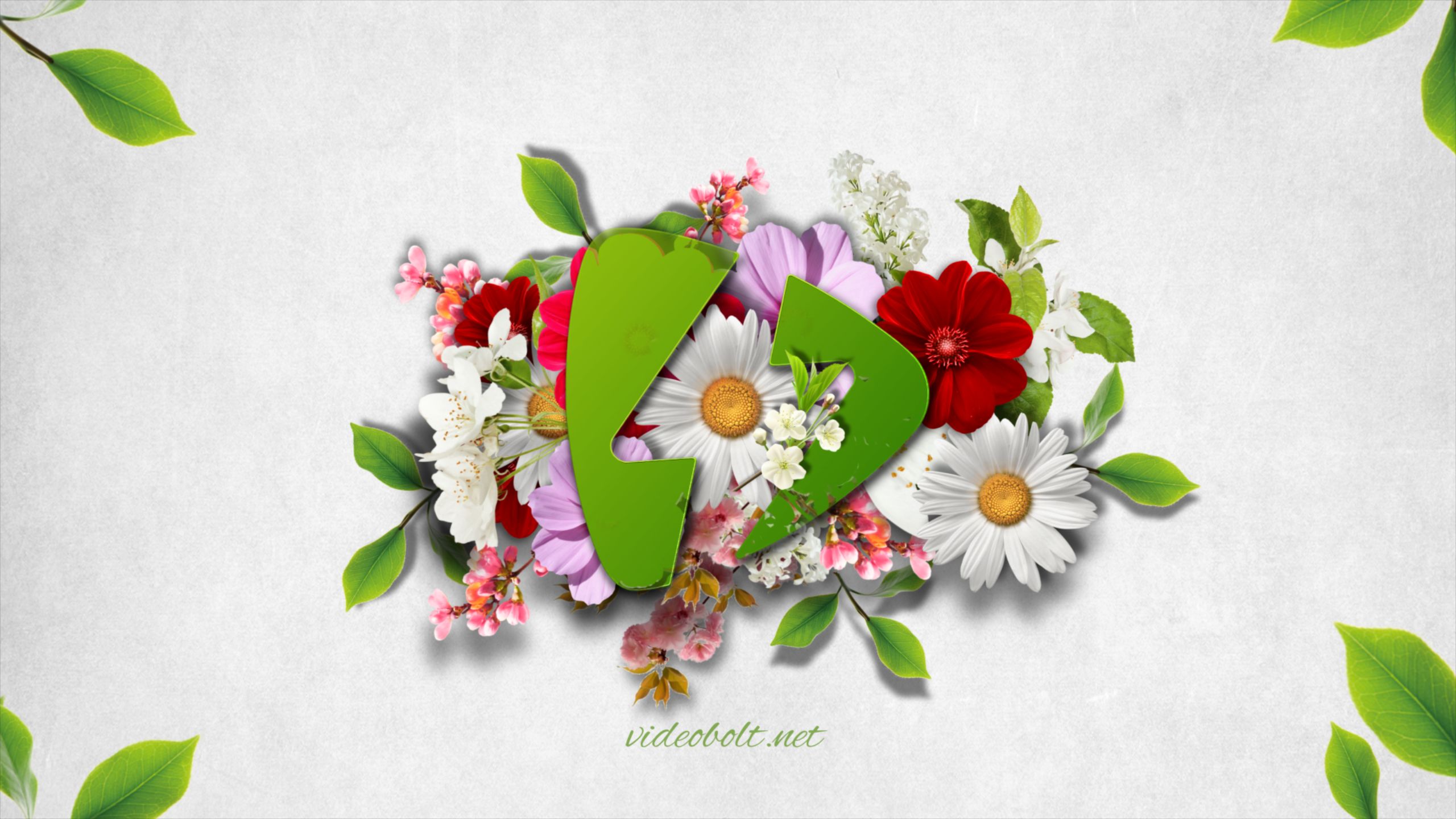 welcome animation with flowers