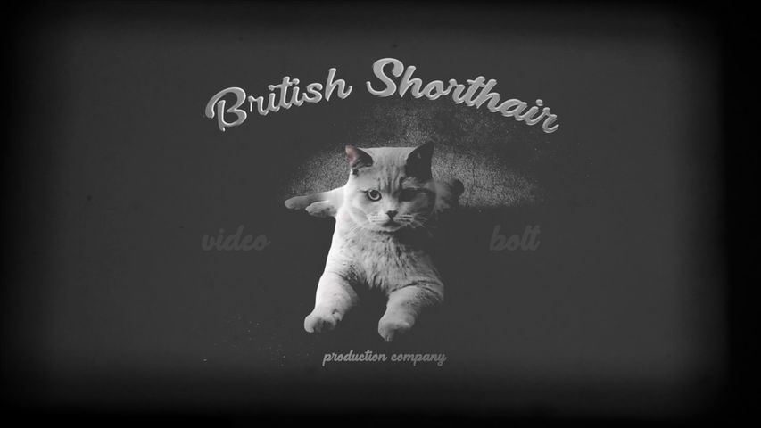 British Shorthair Cinematic Intro - Original - Poster image