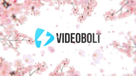 Sakura Blossom Logo Reveal Original theme video