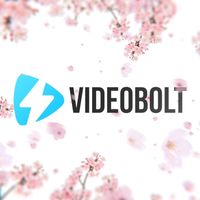 Sakura Blossom Logo Reveal - Square Original theme video