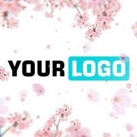 Sakura Blossom Logo Reveal - Square Example theme theme video