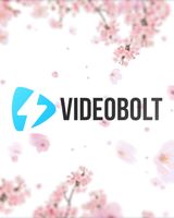 Sakura Blossom Logo Reveal - Post Original theme video