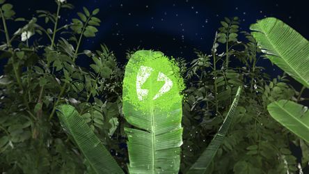 Plants Logo Original theme video