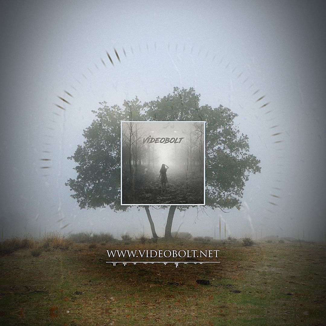 Enchanted Harmony - Square by S_WorX - Videobolt.net