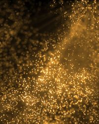 Gold Dust Particles Background - Post Original theme video