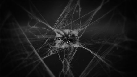 Cobwebs - Example theme - Poster image