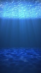 Underwater Background - Vertical Version 01 theme video