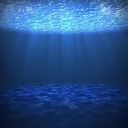 Underwater Background - Square Version 01 theme video