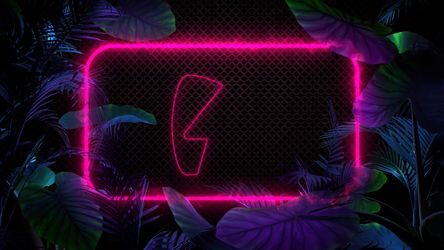 Tropical Neon Background Original theme video