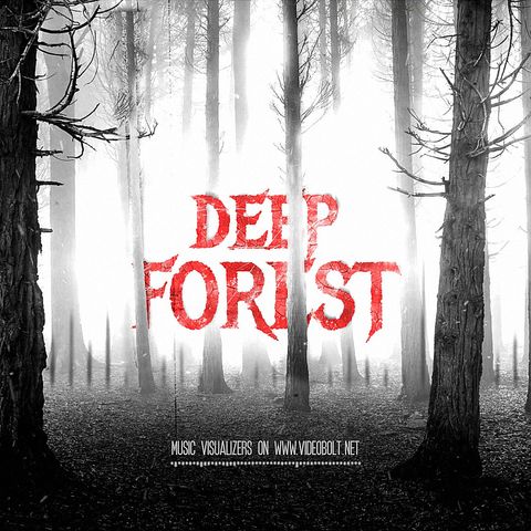 Deep Misty Forest - Square - Original - Poster image
