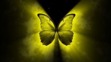 Yellow Butterfly