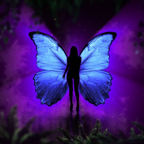 Magical Butterfly Background - Square - Original - Poster image