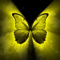 Yellow Butterfly