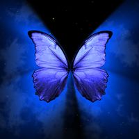 Blue Butterfly