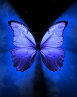 Blue Butterfly