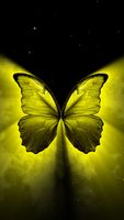 Yellow Butterfly