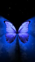 Blue Butterfly