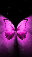 Pink Butterfly