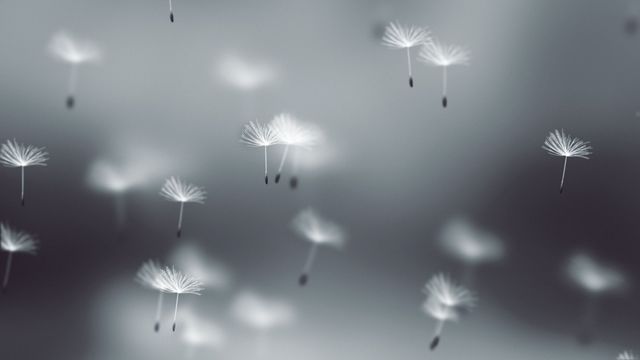 Fly Dandelions Background - Original - Poster image