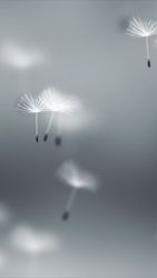 Fly Dandelions Background - Vertical Original theme video