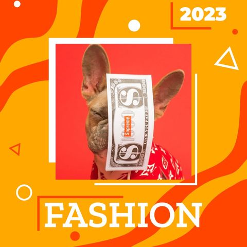 Fashion Instagram Story - Square - Original - Poster image