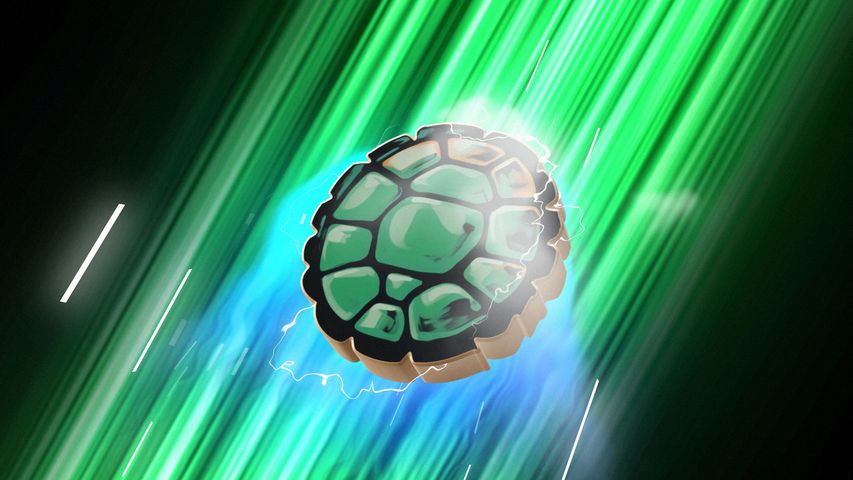 Fast Energetic Logo - vb turtles - Poster image