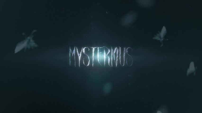 Mystic Moths - Original - Poster image