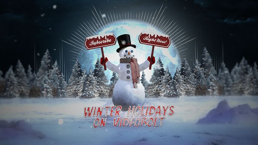 Winter Holidays Visualizer - Original - Poster image
