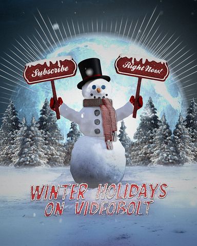 Winter Holidays Visualizer - Post - Original - Poster image