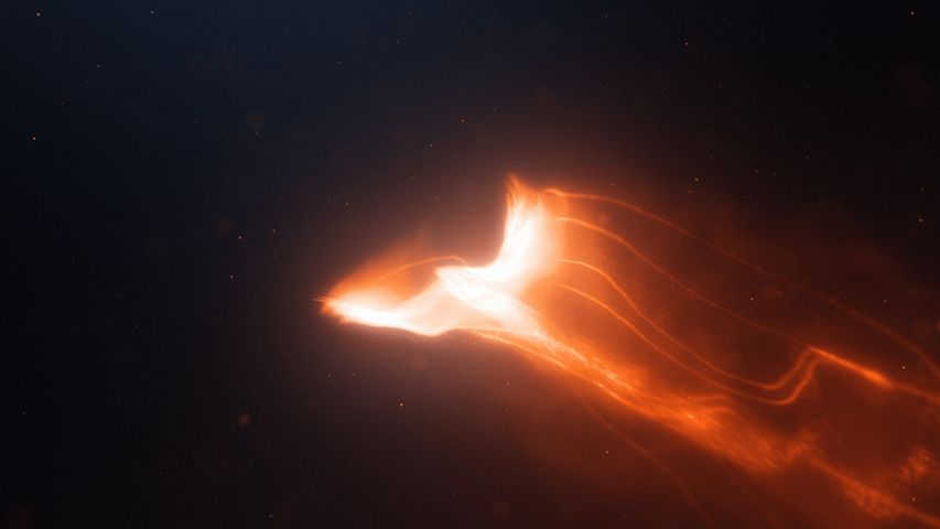 Phoenix Reveal - Original - Poster image