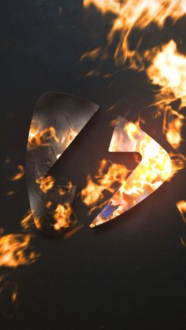 Logo in Fire - Vertical - Original - Poster image