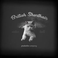 British Shorthair Cinematic Intro - Square Original theme video